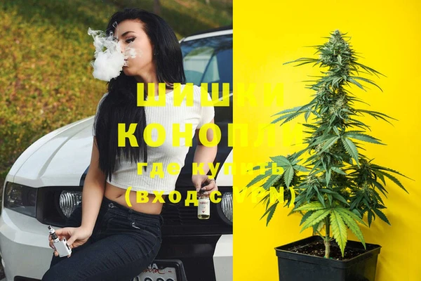 стафф Армянск