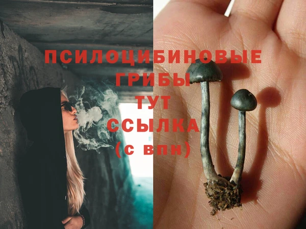 МДПВ Арсеньев