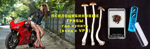 МДПВ Арсеньев