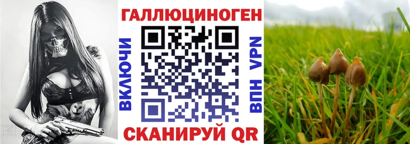 Купить закладки  Котово  Псилоцибиновые грибы MAGIC MUSHROOMS 