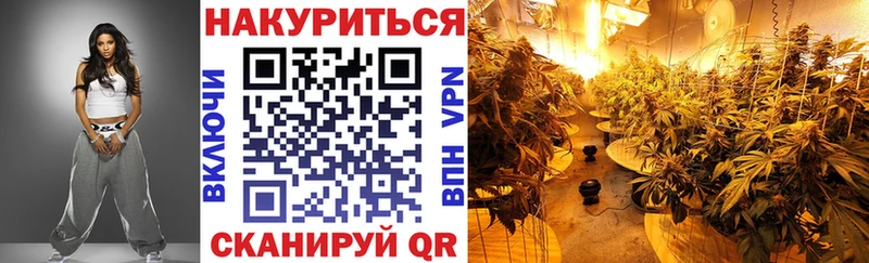 Купить где  Котово  Бошки марихуана ГИДРОПОН 